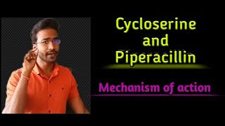 Cycloserine and Piperacillin Mechanism of action [upl. by Joyann]