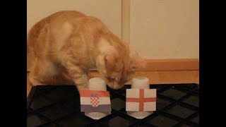 England Vs Croatia  Cats World Cup 2018 Prediction [upl. by Eural8]