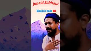 Junaid Siddiqui ghazal 2024  Mera Dil Bhi Madina hai  madina view shorts junaidskrobiul6549 [upl. by Noiwtna279]