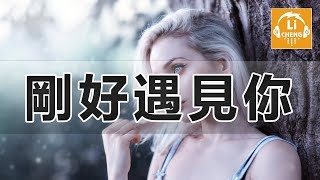 剛好遇見你  李玉剛 （DJ小魚兒 Remix） [upl. by Rephotsirhc319]