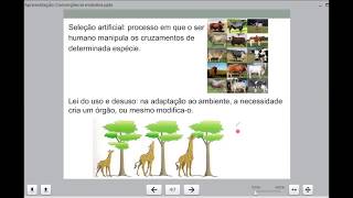 Convergência evolutiva  Sua Professora Online de BIOLOGIA [upl. by Berkow]