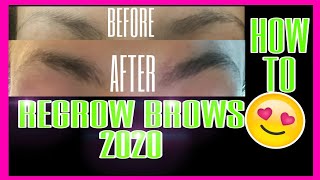 HOW TO GROW MY EYEBROWS BACK FAST  EYEBROW REGROWTH  RevitaBrow REVIEW Before After 2020 [upl. by Alain]