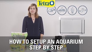 How to set up an aquarium  Fish tank setup step by step [upl. by Chatwin]