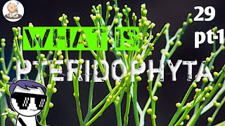 Pteridophytes  Hindi  pteridophytes complete details [upl. by Linis]