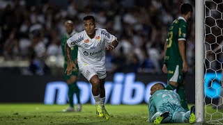 Santos 1 x 0 Palmeiras teve luta teve teimosia teve Neymar… [upl. by Fahey]