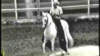 BOCHICA CABALLO DE PASO FINO [upl. by Monk]