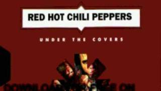 red hot chili peppers  higher ground daddyo mix  under [upl. by Daugherty]