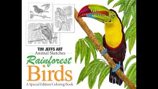 Rainforest Birds Coloring Book by Tim Jeffs Flip Through Video [upl. by Childers]