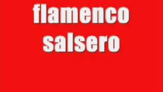 flamenco salsero remix 2009 [upl. by Mond766]