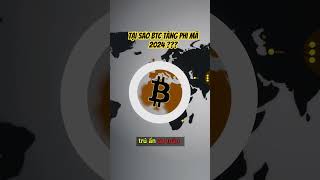 Tại Sao BTC Tăng Phi Mã 2024  cryptocurrency [upl. by Eidassac]