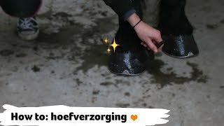 HOW TO hoeven schoonmaken en hoefverzorging  21  Epplejeck [upl. by Ahseirej331]