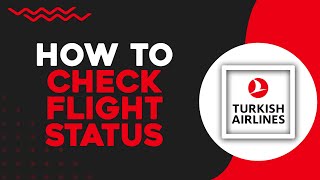 How To Check Flight Status on Turkish Airlines Quick Tutorial [upl. by Trebuh701]