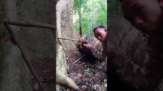 alanhdva trap bushcraft alanhdva [upl. by Bloem778]