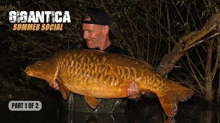 Peckys Gigantica Social 2024  Part 1 of 2 Extract [upl. by Helenka]