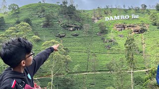 Going to Damro tea in Sri Lanka [upl. by Eltsirhc]