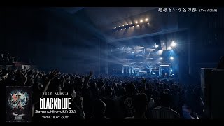 『澤野弘之 LIVE nZk008』DIGEST [upl. by Ainad753]