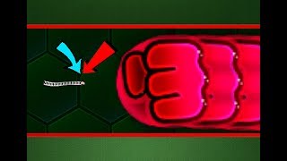 Wormaxio TINY PRO Vs BIG NOOB  Best Wormaxio Gameplay  Funny wormaxio moments Biggest Worms [upl. by Woody637]