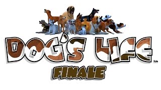 Dogs life finale Daisy becomes cat food [upl. by Htur]