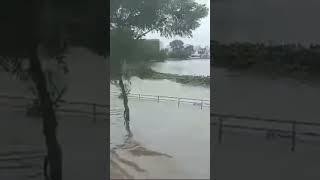 વરસાદ ના કારણે ગાડીઓ અને બસ ડૂબી  Heavy Rain shivanitrivedi heavyrain flood newsupdate [upl. by Sanford304]