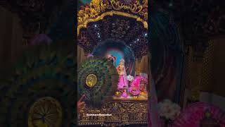 radha krishna status 4k Krishna bhajan radhakrishna shorts video [upl. by Eitsrik]