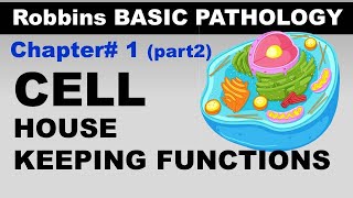 Chp1 part2 Robbins Basic Patho  Cellular Housekeeping  Cell as a unit of Health and Disease [upl. by Atrice]