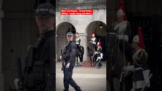 Blues and Royals  Armed Police Officer  Looks sharp and Alert❗️kingsguard londonwalk horse [upl. by Flory]