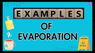 Common Examples Of Evaporation  Evaporation Around Us  Simple Examples Explained [upl. by Maclay]