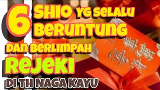 6 SHIO yg selalu BERUNTUNG amp berlimpah REJEKI di th NAGA KAYU [upl. by Cailean]