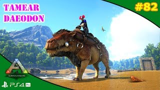 TAMEAR DAEODON  ARK 82  Servidor Oficial PVE [upl. by Yelsel]