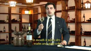 Minnella Vino Bianco 2010 Etna  Sicilia Calabretta  Videodegustazione Online wine tasting [upl. by Nairahcaz]