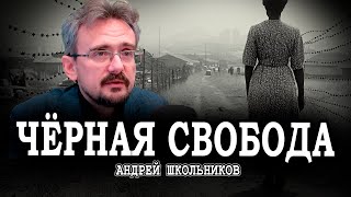 Невозможность порядка или Апартеид  как необходимость  Андрей Школьников [upl. by Nepean226]