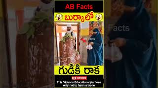 😲బుర్కాలో😲 Muslim women in Hindu temple telugufacts temple hindu shorts youtubeshorts abfacts [upl. by Gnehc]