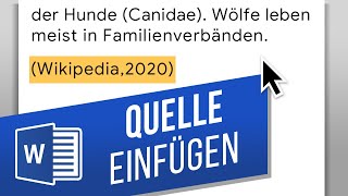 Word Quelle einfügen  Quellenangaben im Text – in Word zitieren [upl. by Aramas]