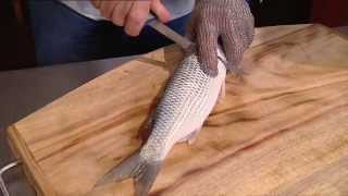 Filleting Fish Mullet [upl. by Gerger423]