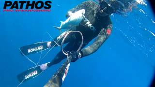 02 Amberjack Spearfishing [upl. by Majka]