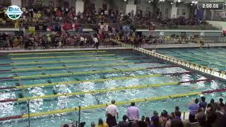 2020 MIAC Championships Jordyn Wentzel  200yard breaststroke [upl. by Yerroc]