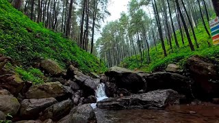 Soothing Waterfall ASMR 11 Hours of Bliss for StressFree Sleep  LuLu Sounds [upl. by Mcgregor]