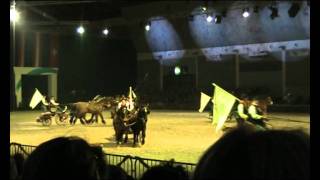 Pferd Bodensee 2011 Kutschen Quadrille [upl. by Fronniah380]