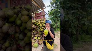 Bike Road Trip From Guwahati to Jorhat  TOMOI TALES [upl. by Abra]