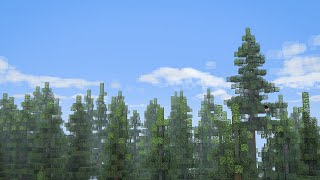 Minecraft Hermitcraft  Bdubs Forest [upl. by Nehtan372]