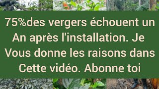 75 des vergers échouent un an après linstallation je vous les raisons dans cette vidéo [upl. by Karil]