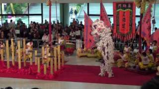 Best lion dance show ever Hong Kong chinese new year 2010 by Sifu Sergio [upl. by Lerraf]