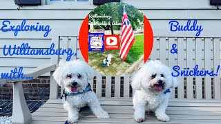 Bichon’s amp Adam TimeTravel to 18th Century Colonial Williamsburg [upl. by Codel]