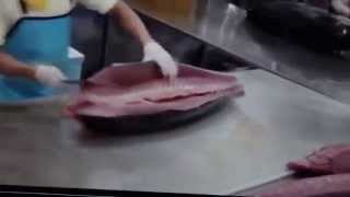 super fast tuna cutting  how to fillet fish [upl. by Herwig]