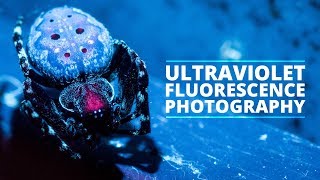 Getting Started With Ultraviolet Fluorescence Photography UVIVF [upl. by Ragse]