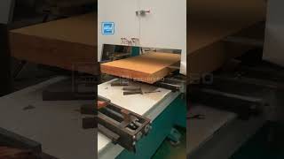 Gantry Horizontal Bandsaw Mill Machine For Balsa wood With Light Density [upl. by Alilad]