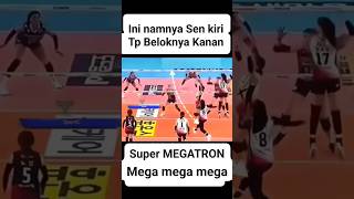 Kecerdasan Megawati hangestrimegawatihangestrimegatron redspark shortvideo [upl. by Gardol]