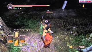 Vanquishers Seal  Power Stance with bare hands Dark Souls II [upl. by Nutter]