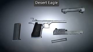 Desert Eagle  Disassembly and Assembly [upl. by Perry221]