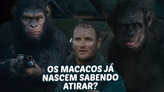 POR QUE ESSES MACACOS NÃO TACAM FEZES NOS OUTROS [upl. by Sochor217]